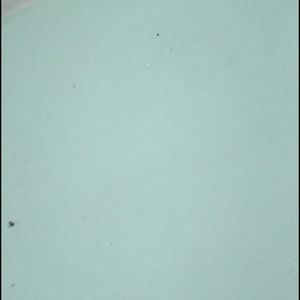 Meet your Posher, Sonali